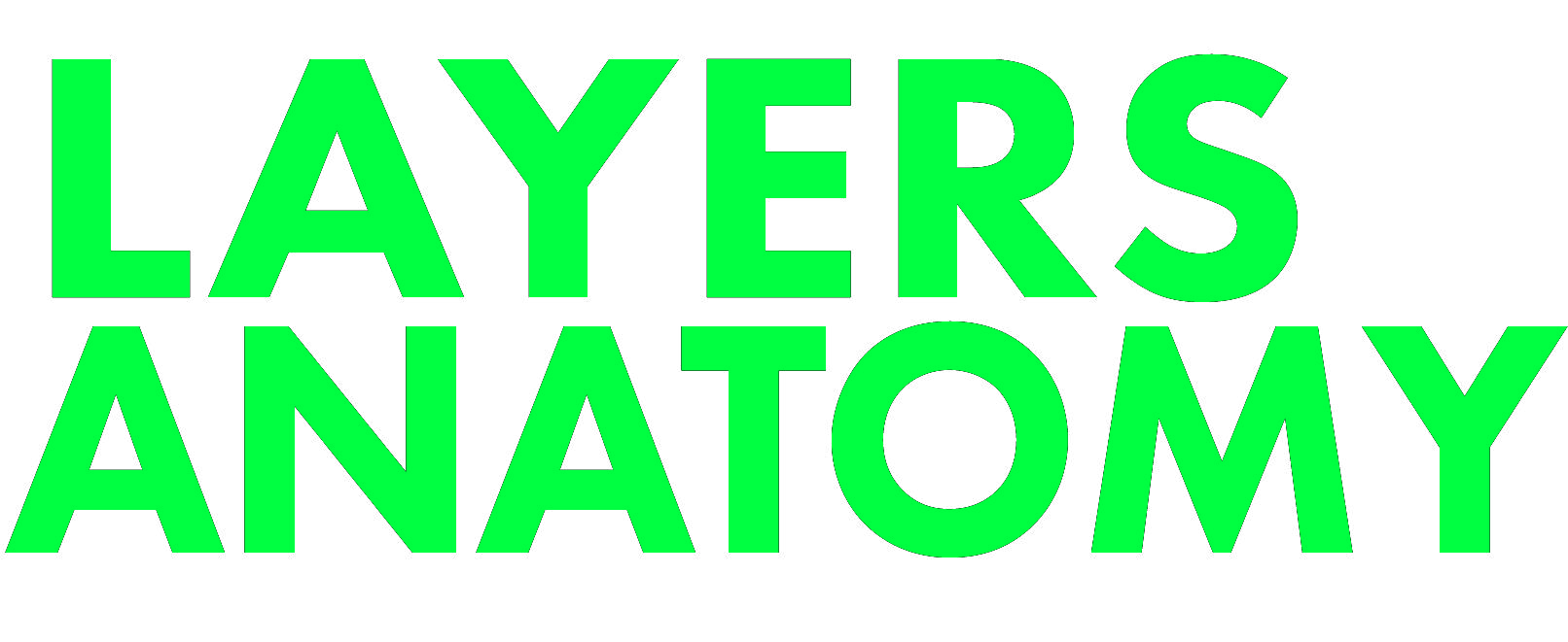 LAYERS ANATOMY